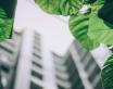 Feuilles se déployant sur une image d'immeubles 