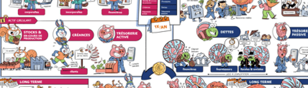 Carte mentale "Le bilan - Compt'animaux"