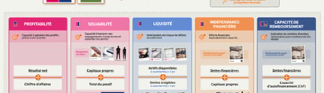 Carte mentale ratios financiers