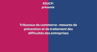 Tribunaux de commerce : mesures de prévention et de traitement des difficultés des entreprises