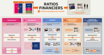 Carte mentale ratios financiers
