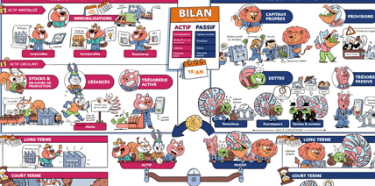 Carte mentale "Le bilan - Compt'animaux"