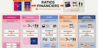 Carte mentale ratios financiers